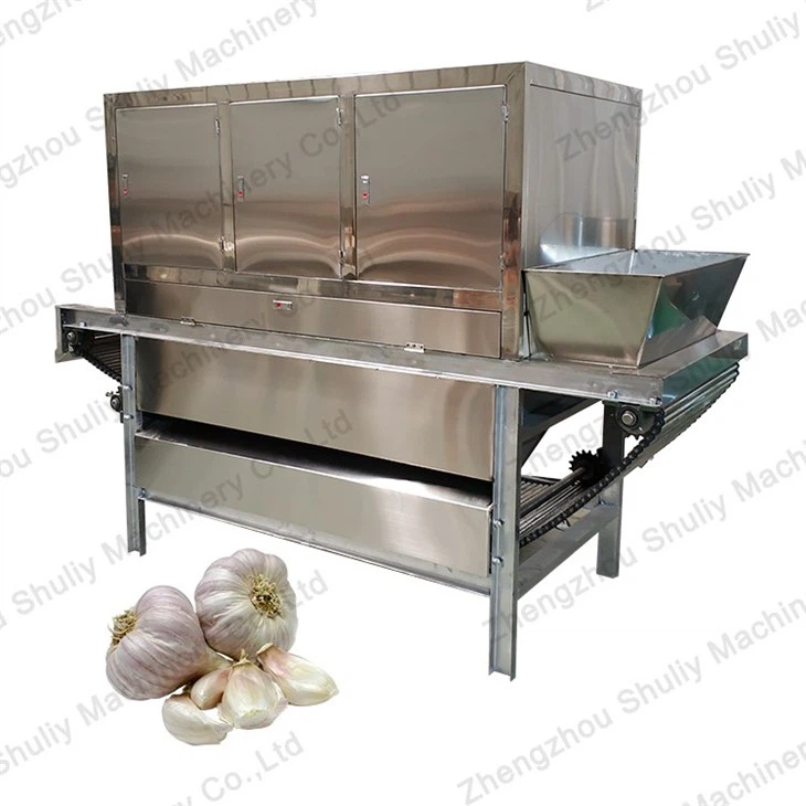 garlic peeling machine (2)