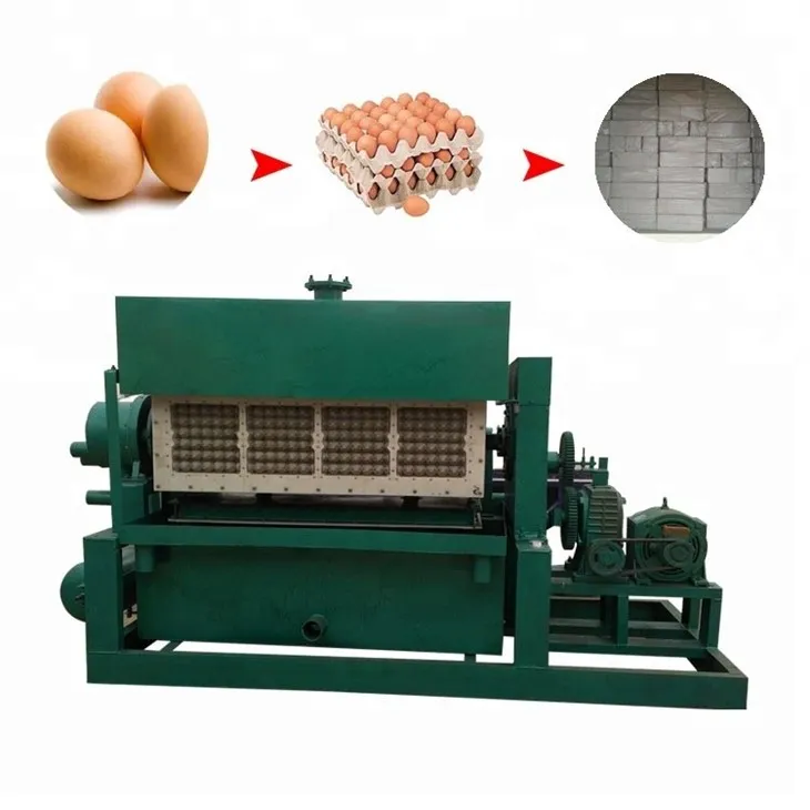 egg tray machine (17)