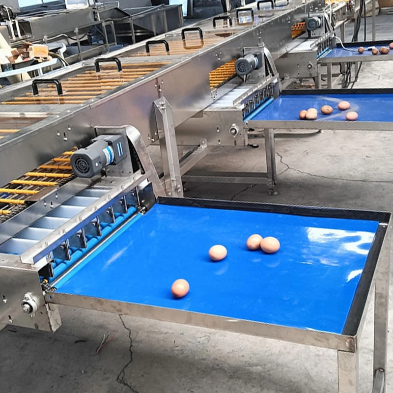 Electronic Egg Sorting Machine best