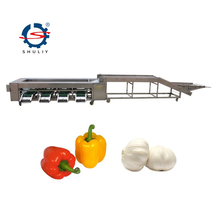 Onion Grading Machine