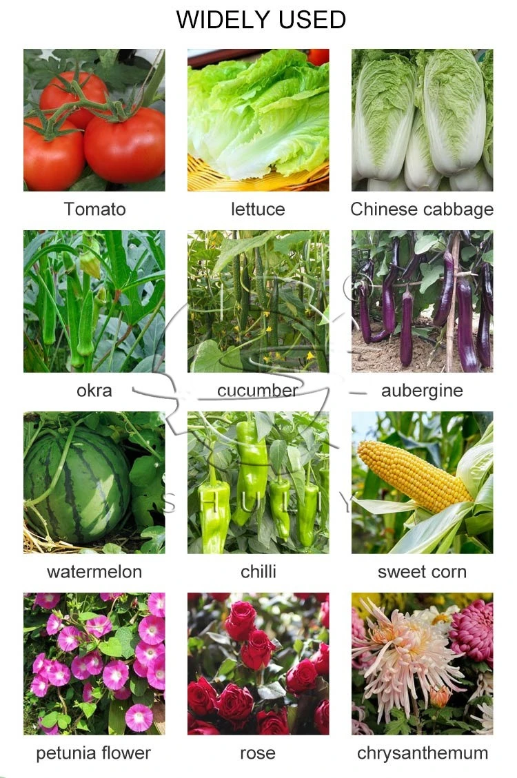 automatic seeder machine automatic seeder machine